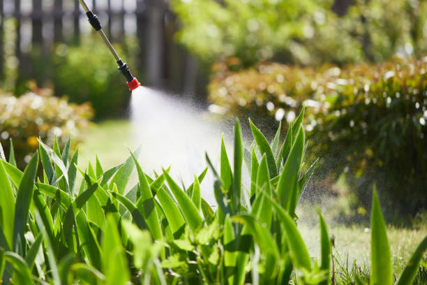 24/7 Emergency Mosquito Control experts in Buffalo, MN